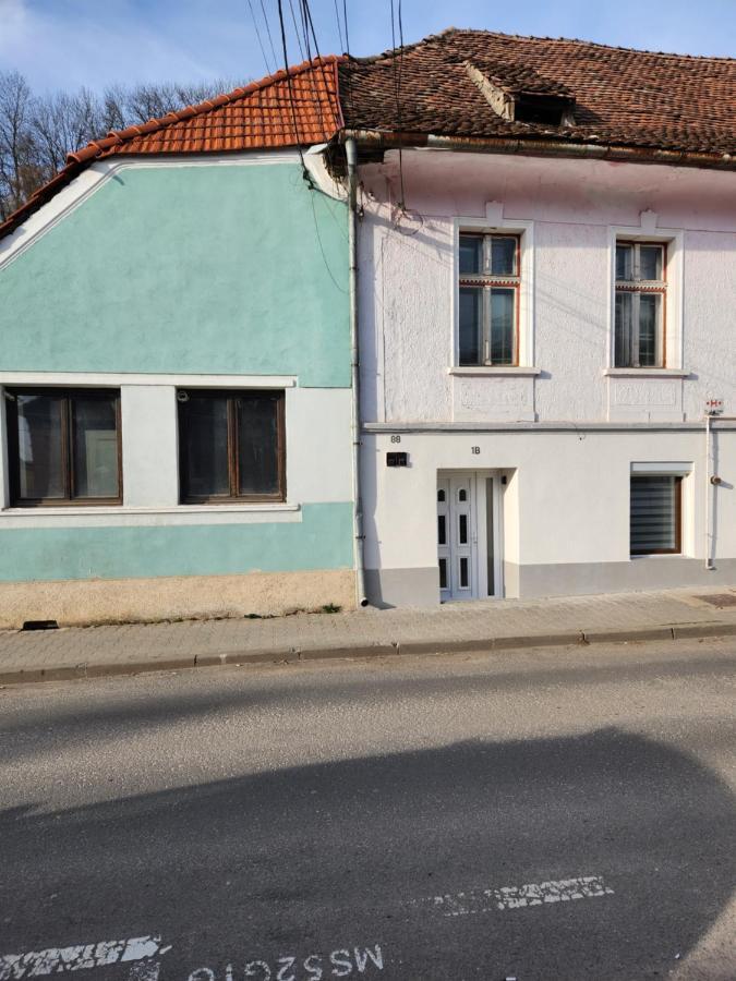 Apartament Dada Sighişoara Exterior foto